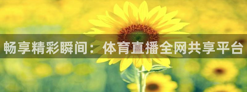 足球直播袋鼠：畅享精彩瞬间：体育直播全网共享平台