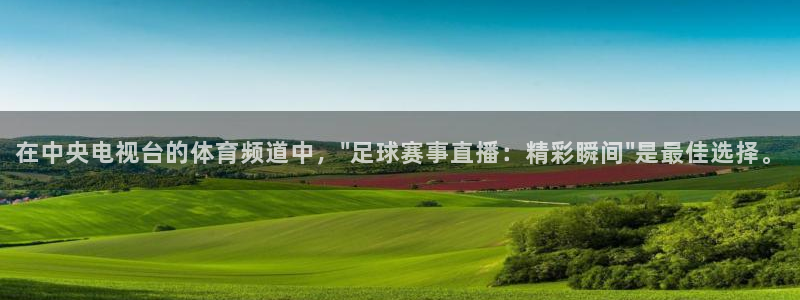 袋鼠体育直播在线观看：在中央电视台的体育频道中，\
