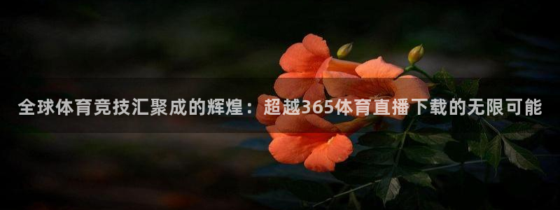 袋鼠直播体育app下载：全球体育竞技汇聚成的辉煌：超越365体育直播下载的无限可能