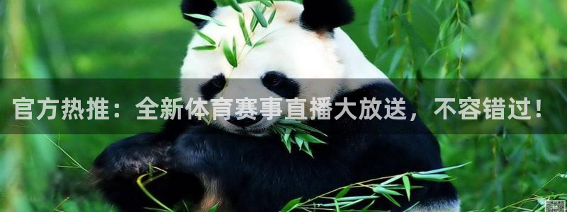 袋鼠直播：官方热推：全新体育赛事直播大放送，不容错过！
