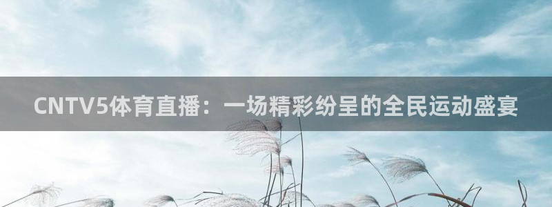 袋鼠nba直播在线观看：CNTV5体育直播：一场精彩纷呈的全民运动盛宴