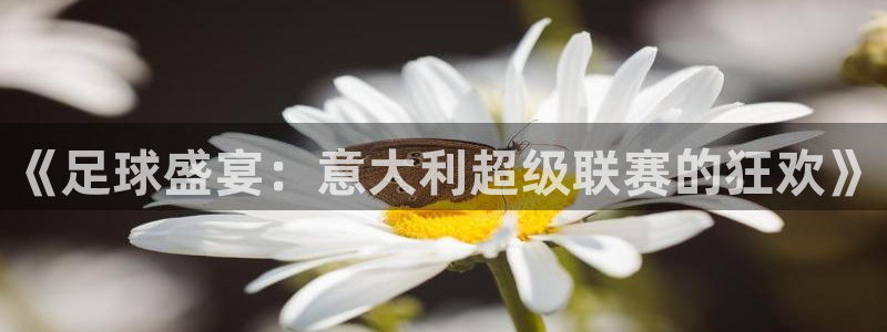 nba袋鼠直播：《足球盛宴：意大利超级联赛的狂欢》