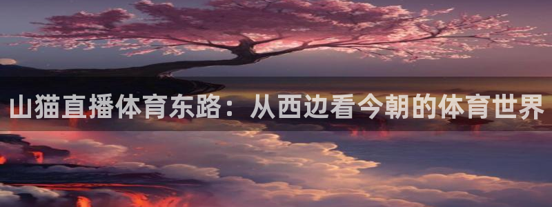 nba袋鼠直播在线观看：山猫直播体育东路：从西边看今朝的体育世界