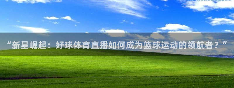 袋鼠直播nba体育：“新星崛起：好球体育直播如何成为篮球运动的领航者？”