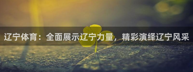 袋鼠体育直播app下载：辽宁体育：全面展示辽宁力量，精彩演绎辽宁风采