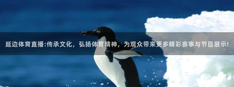 袋鼠直播足球：延边体育直播:传承文化，弘扬体育精神，为观众带来更多精彩赛事与节目展示!