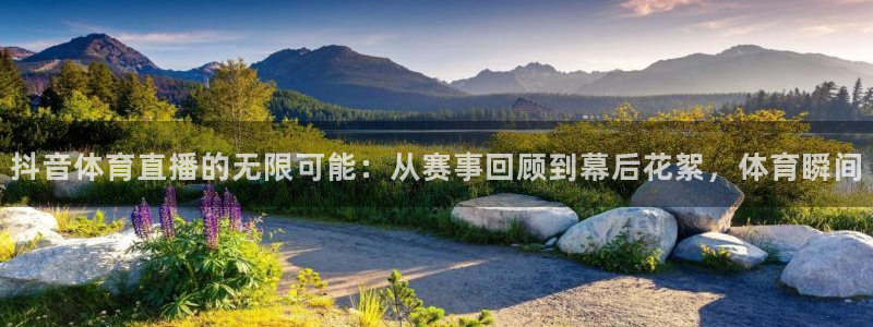 袋鼠直播体育免费观看入口：抖音体育直播的无限可能：从赛事回顾到幕后花絮，体育瞬间