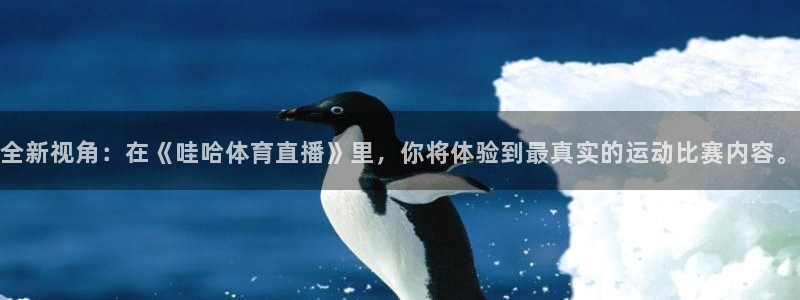 袋鼠直播nba在线看：全新视角：在《哇哈体育直播》里，你将体验到最真实的运动比赛内容。